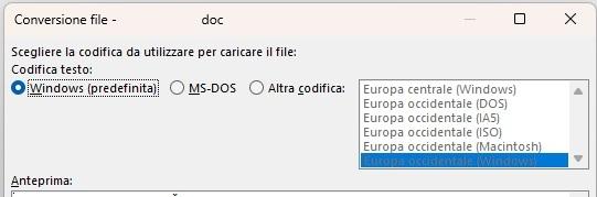 Codifica testo word